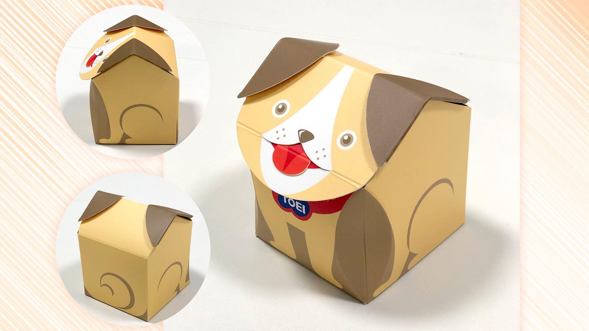わんわんプチBOX